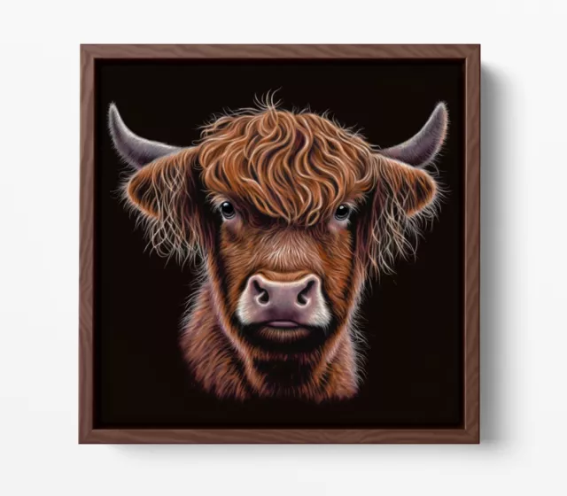 Highland Cow Chalk Drawing  -Square Canvas Wall Art Floater/Frame/Poster Print