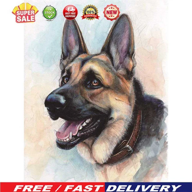 Kits de pintura al óleo para perros por números hágalo usted mismo pintado a mano arte de pared imagen artesanal decoración del hogar