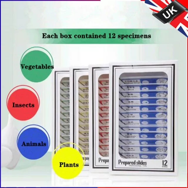 Kids Plastic Prepared Microscope Slides of Animals Insects Plants Vegetables Set