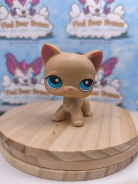 Petshop pet shop chat européen 318 - Jeux & Jouets