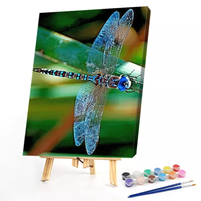 40x50cm Colorful DIY Paint By Numbers Kit Dragonfly Animals for Decor Gift Art 2