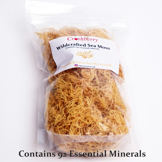 Sea Moss Organic Gold Dr Sebi Grade (Irish Moss) Wild Crafted - St Lucia Cottoni