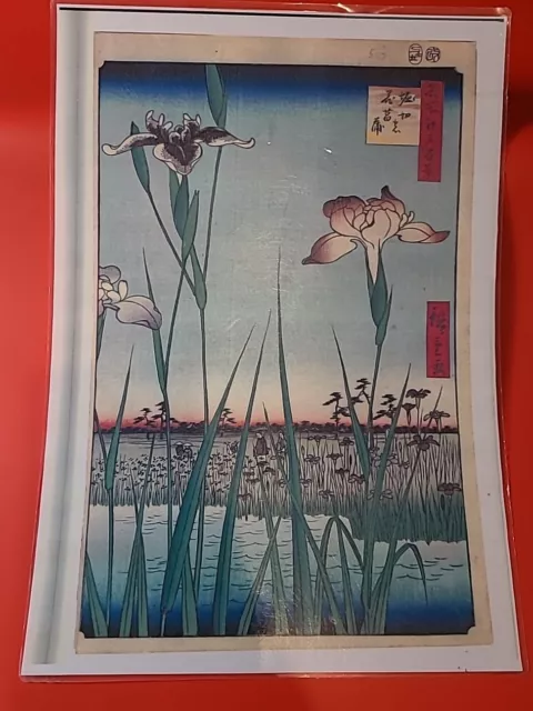 Ukiyoe Woodblock  print " Edo in One Hundred Views" by Ando Hiroshige