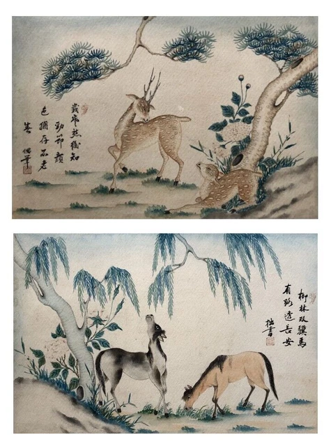 Animal Watercolours, China, Asian Arts, Late 19th Or Early 20th Century