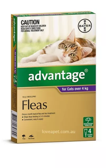 Advantage Cat Flea Treatment For Cats All Sizes 3