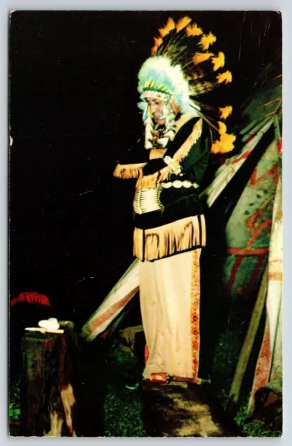 Native Americana~Indian~Chief Meditating Outside Teepee~Night~Vintage Postcard