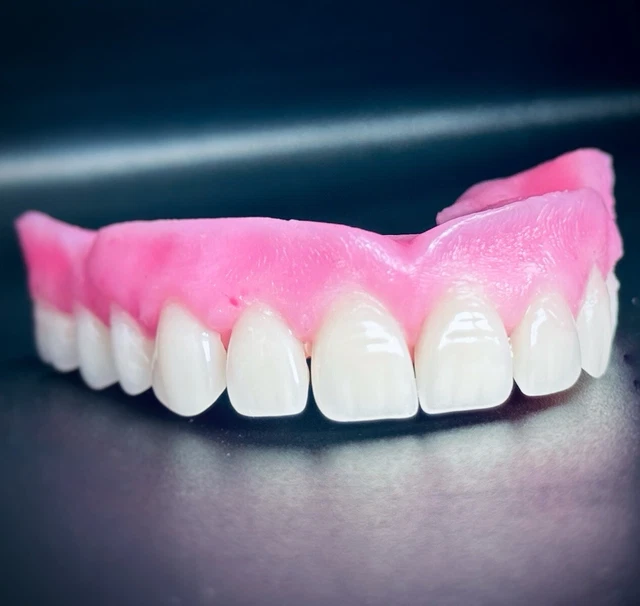 Schaumodell, Implant Modelle, Zahntechnik, Dental - EKODENT