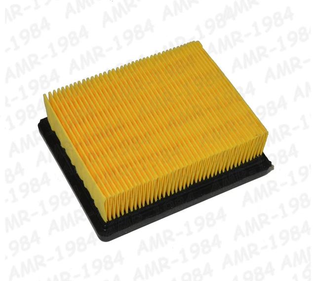 Filtro Aria Tipo Originale  Miw  Sym Maxsym Tl 500 Euro 4    2020  265207