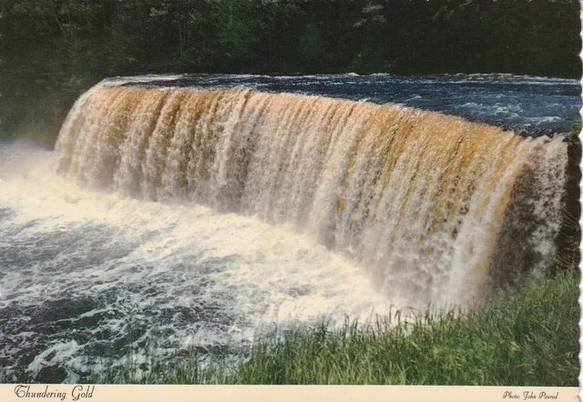 Thundering Gold, Tahquamenon River, Tahquamenon Falls State Park, Michigan