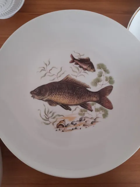 6 tolle  Teller mit Fischmotiv Essteller Servierteller