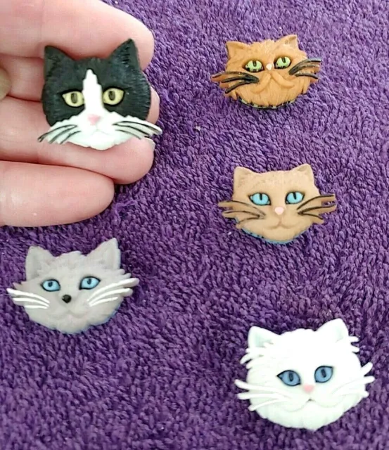 .Cat Kitten Kitty Heads Refrigerator Fridge Magnets 5pc Set - Cute & Unique!