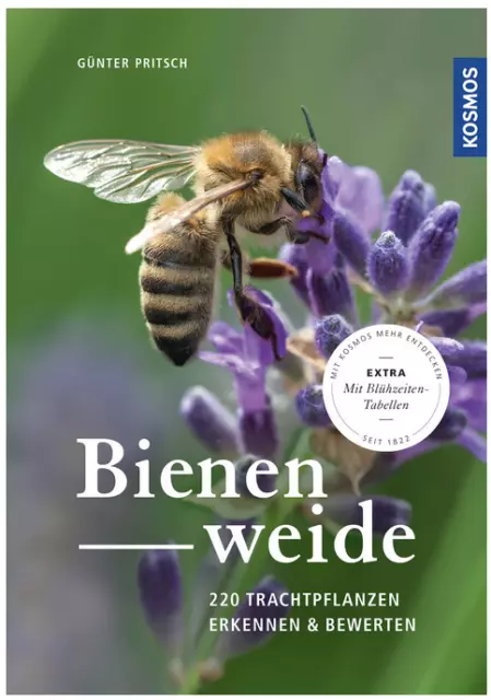 Bienenweide: 220 Trachtpflanzen erkennen und bewerten  / Kosmos / 9783440159910
