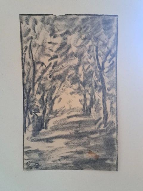 guglielmo pizzirani disegno a carboncino originale artista bolognese