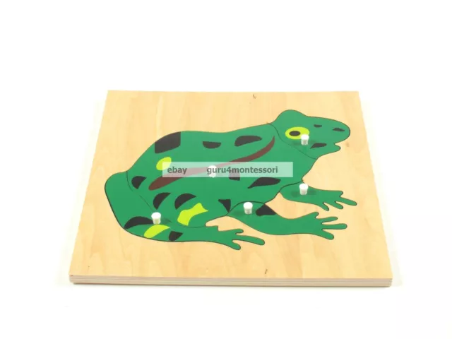 NEW Montessori Zoology Material - NEW Plywood Frog Puzzle