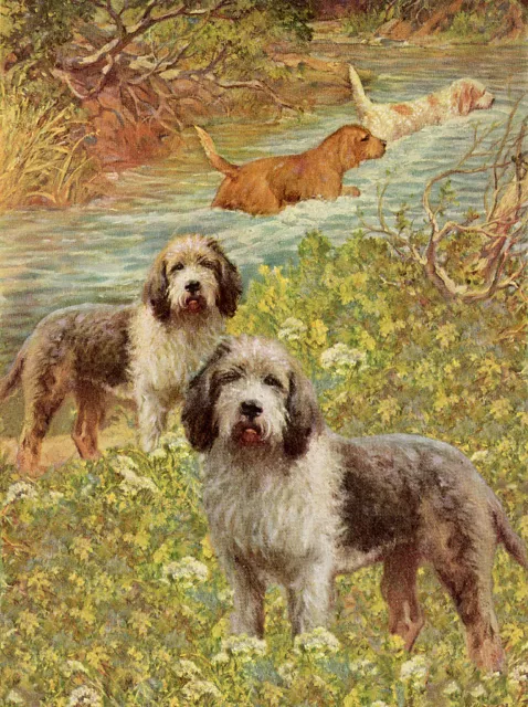 Otterhound Charming Dog Greetings Note Card, Group Of Dogs In Rural Setting