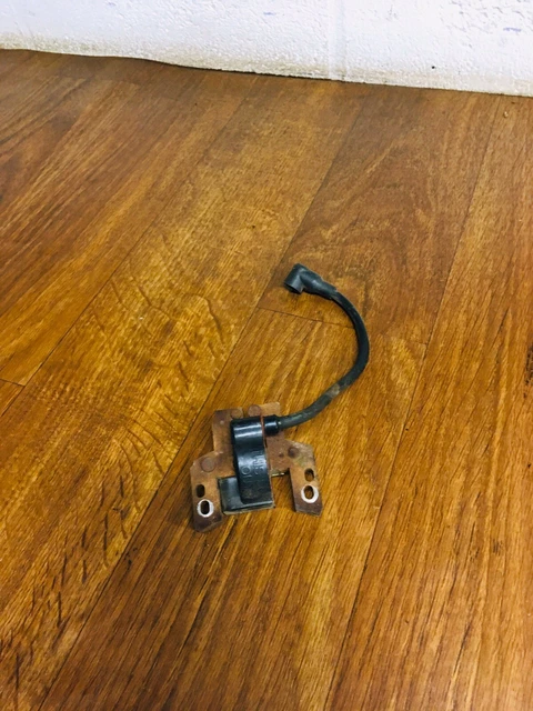 Bobina Di Accensione Briggs & Stratton Usata (590454, 802574, 493237) Per Motori 4-7hp, Testata