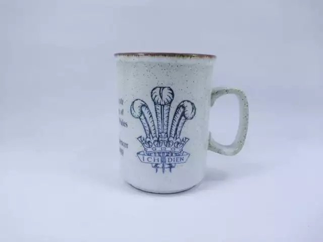Vtg Dunoon Ceramic Stoneware Mug Princess Diana Marriage Scotland 1981