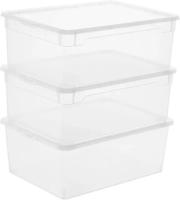 Rotho Freeze Gefrierbox 3.7l Deckel Kunststoff Box lebensmittelecht