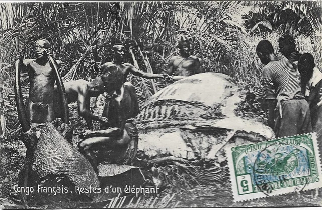 28 Cpa Afrique Noire Congo Belge Et Francais Senegal Guinee Factoreries 1911