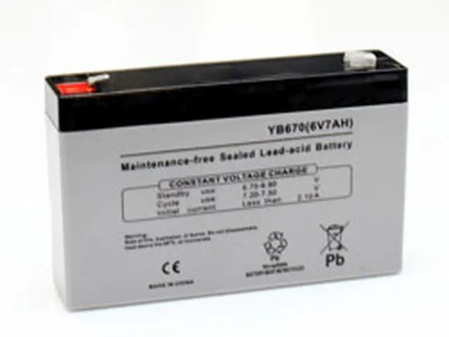 Replacement Battery For Lithonia Elb1207N () Emergency Lighting 7000Mah 6V