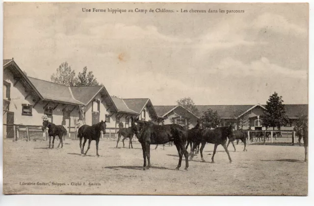 CHALONS SUR MARNE - Marne - CPA 51 - Vie Militaire Au camp - ferme hippique