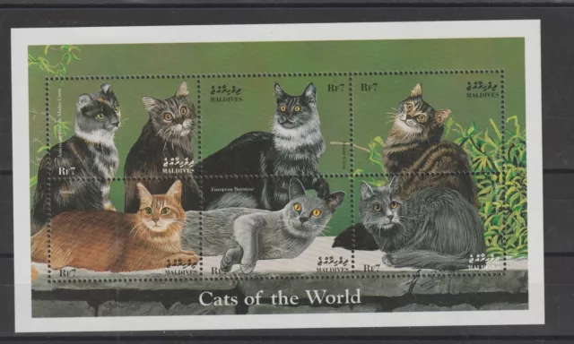 Maldivas 1998 Fauna Gatos Cats 6 Val De Bf MNH MF122011