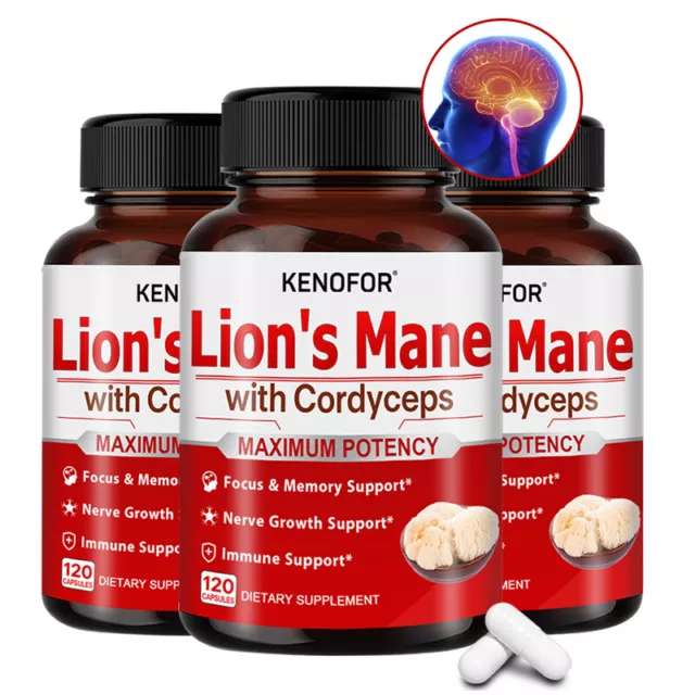 Lion's Mane Mushroom Cordyceps Sinensis Extract-brain and Immune System Enhancer