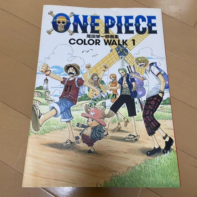 Color Walk Collection ONE PIECE COLOR WALK 1 Illustration Collection JAPANESE# USED21 EUR 40 ...