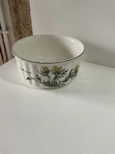 Beau Moule à Soufflé Saladier en Faïence de Villeroy et Boch Botanica Vintage