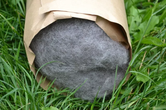 kardierte Wolle in naturmittelgrau als 1000g Vlies vom Alpinen Steinschaf