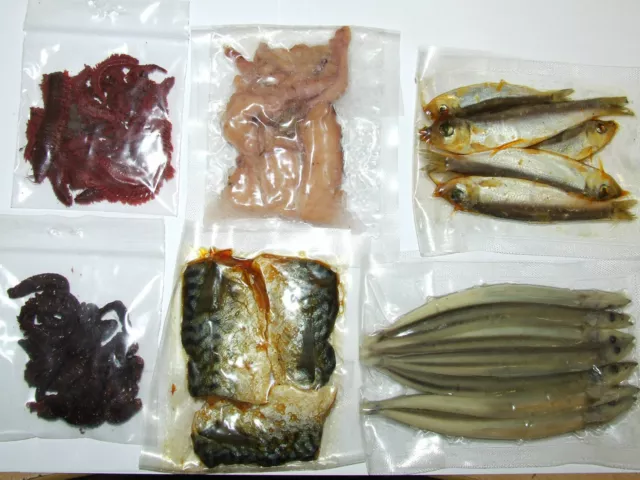 Preserved Sea Bait Squid White Bait Ragworm Black Lug Sandeel Mackerel Sea Fish