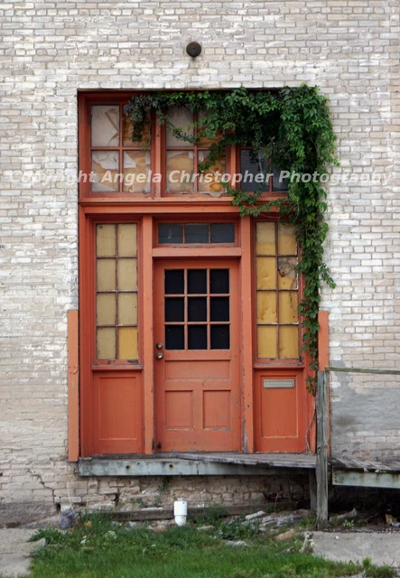 Original ACEO photo fine art print 2.5x3.5 in THE ORANGE DOOR green ivy city old