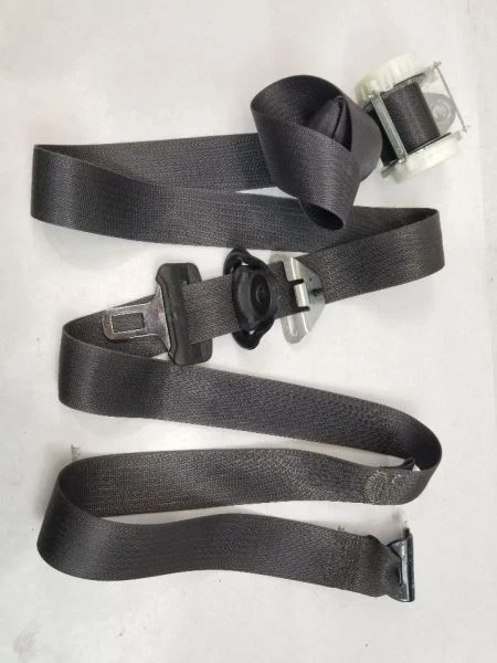 SILVRDO25 2014 Seat Belt Rear 540576