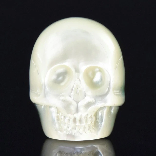 Skull Design Cabochon Mother-of-Pearl Shell & Paua Abalone Carving 3.52 g