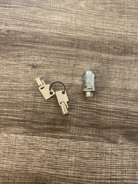Storage Unit Lock With 2 Keys