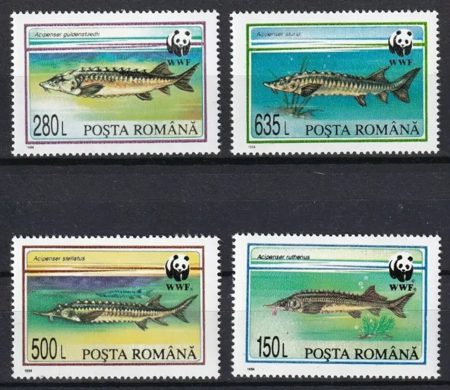 Rumänien 1994 WWF Fisch 4 postfrisch Briefmarken