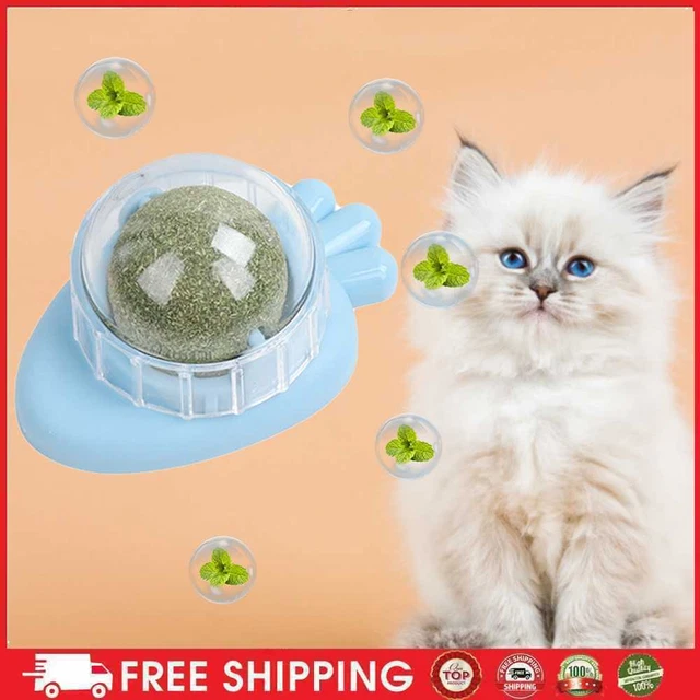 Carota Catnip Toys Treats erba gatta sana palline perdenti gatto lettino per animali domestici