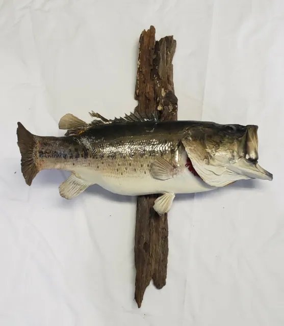 LARGE MOUTH BASS Ceramic Bisque U-Paint Fishing $26.39 - PicClick