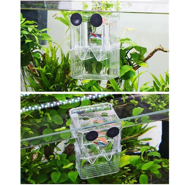 Acrylic Fish Tank Breeding Isolation Box New Aquarium Hatchery Incubator Holder 2