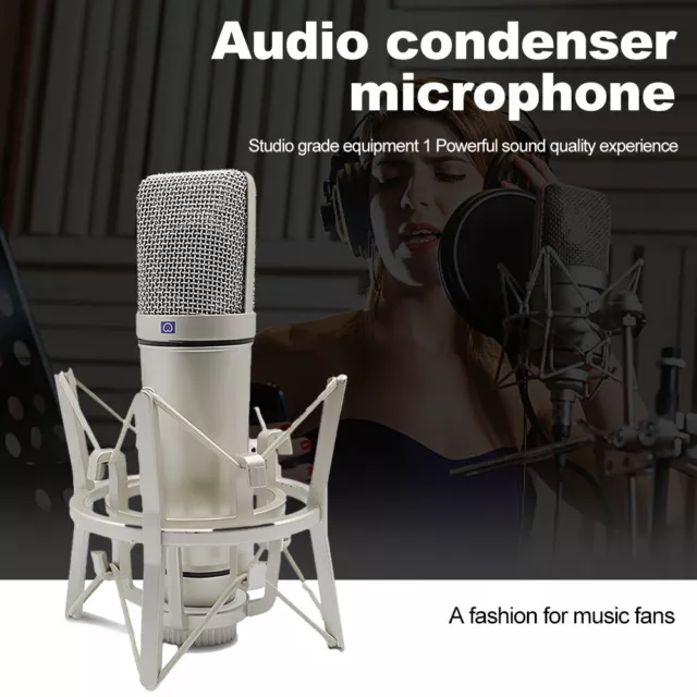 Condenser Microphone Audio Professional Mic Studio Recording Home Broadcasting