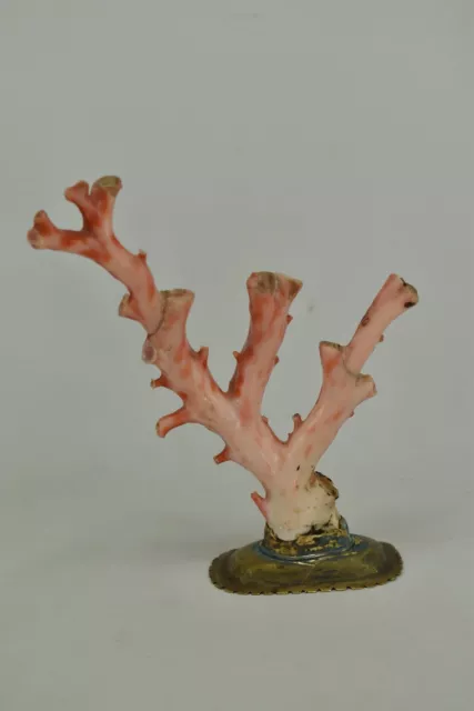 A Chinese Coral Tree Probably Early 20th Century  Restored On A Copper Base