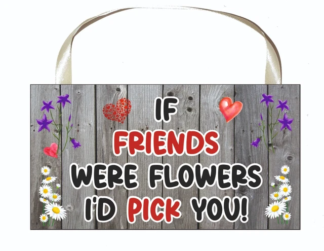 Freundesplakette - Wenn Freunde Blumen wären, würde ich dich auswählen - lustige süße Neuheit Geschenk 2