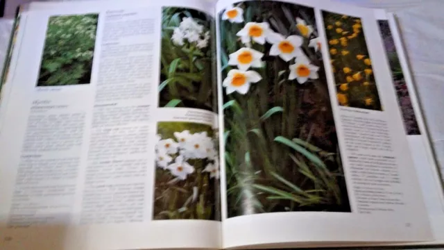 L'Encyclopédie des fleurs de jardin Prentice Hall 3