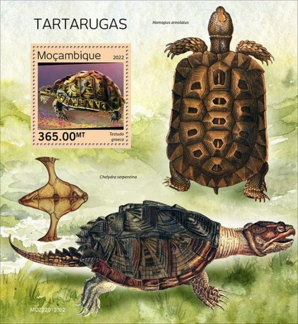 Mosambik - 2022 Griechische Schildkröte - Briefmarke Souvenir Blatt -