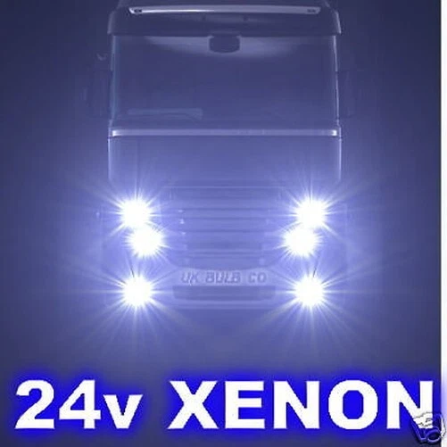 Mann Löwen Komfort Xenon Lkw Glühbirnen H7 100W 24V
