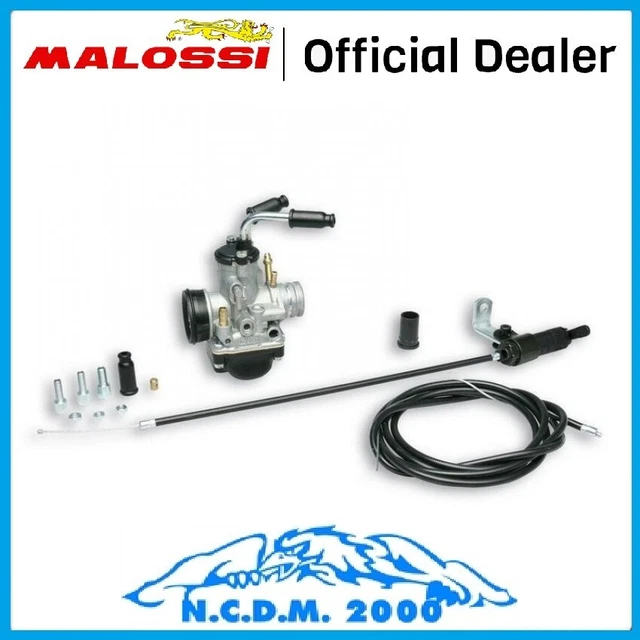 Set Carburettor Malossi Phbg 19 BS Aprilia Scarabeo 50 2T (Minarelli)