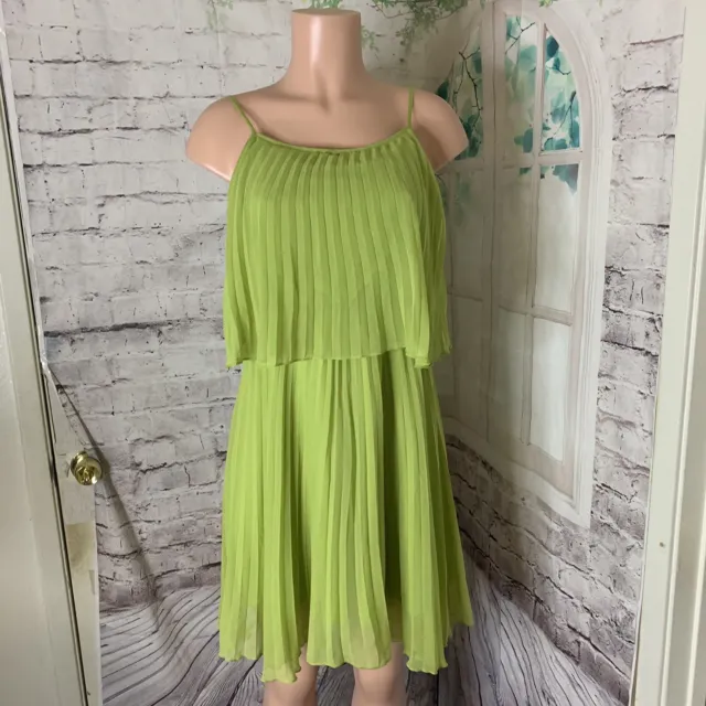 Sassafras Pleated Sleeveless Women's Dress Size Medium Green Chiffon Lined