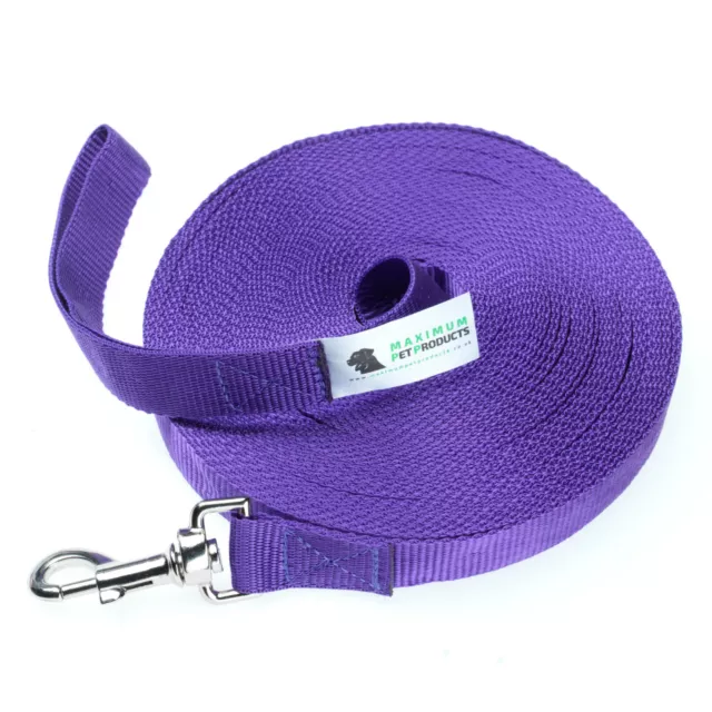 Dog Lead For Training, Tracking & Obedience Recall 50ft 15 Meter Purple