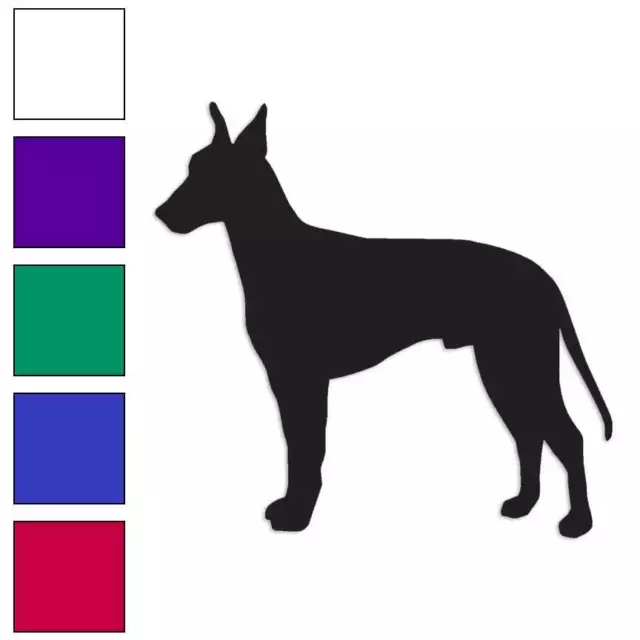 Manchester Terrier Dog, Vinyl Decal Sticker, Multiple Colors & Sizes #1977