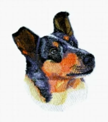 Embroidered Short-Sleeved T-Shirt - Smooth Collie BT4433 Sizes S - XXL